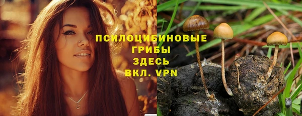 спиды Армянск