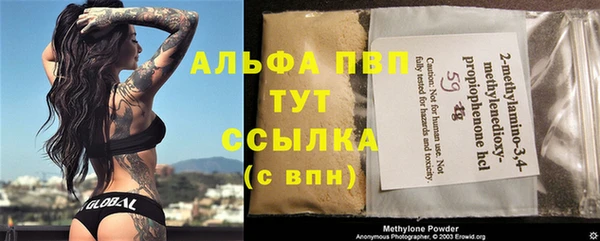 спиды Аркадак