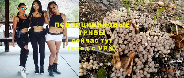 спиды Аркадак