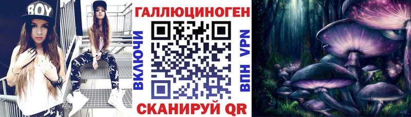 Псилоцибиновые грибы Psilocybe  купить  сайты  Шарья 